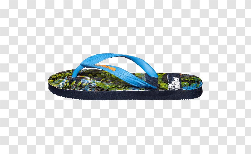 Flip-flops Swim Briefs Shoe Reef Clothing - Boy Transparent PNG