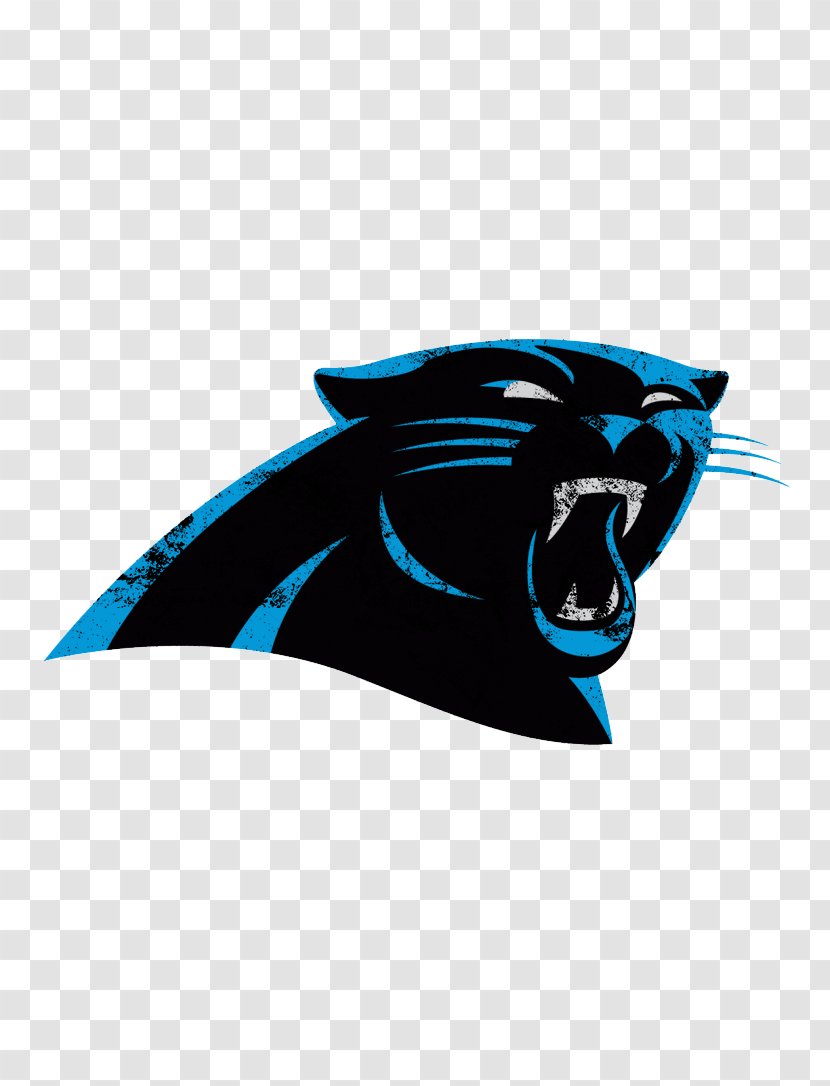 Carolina Panthers NFL Tampa Bay Buccaneers New Orleans Saints Minnesota Vikings - Fictional Character - Black Panther Transparent PNG