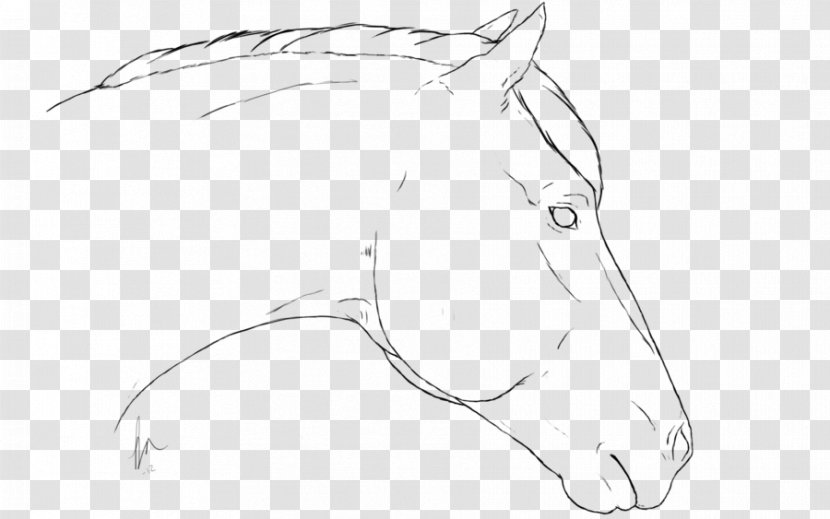 Drawing Mustang Line Art Sketch - Fictional Character - White Transparent PNG
