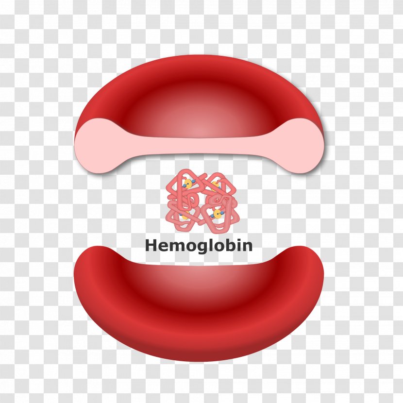 Hemoglobin Red Blood Cell Molecule Heme - Glycated - Vial Transparent PNG