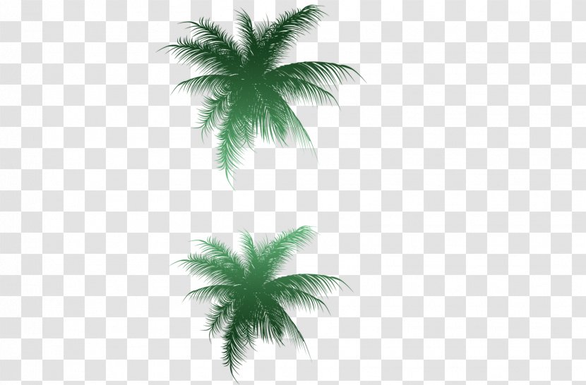 Palm Trees Image Vector Graphics Clip Art - Tree Transparent PNG