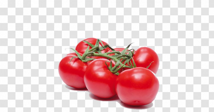 Plum Tomato Bush Cherry Potato Food Transparent PNG