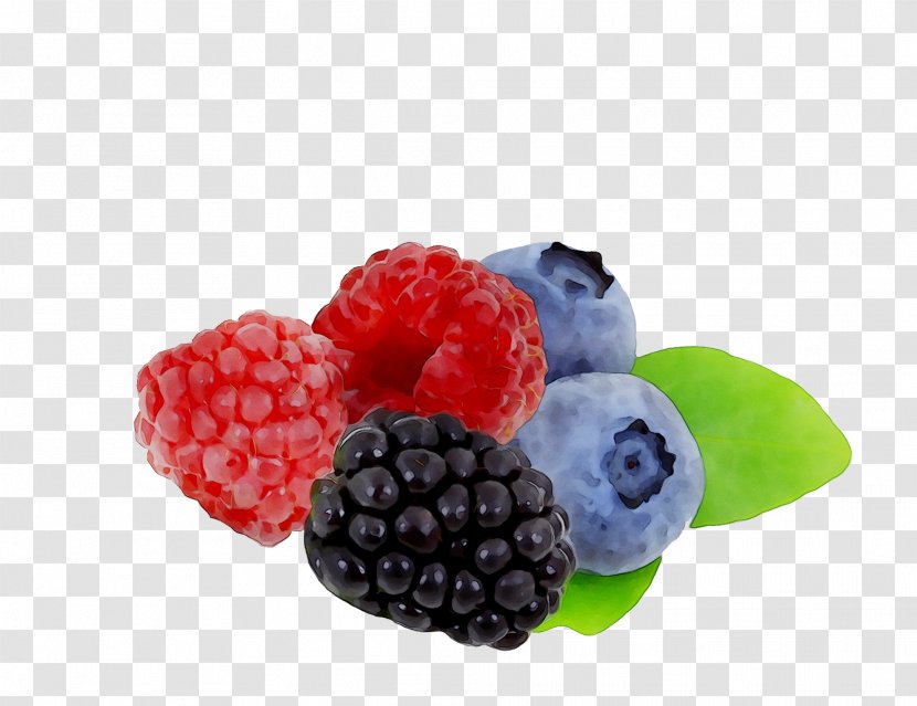 Raspberry Boysenberry Blueberry Bilberry Berries - Fruit - Natural Foods Transparent PNG