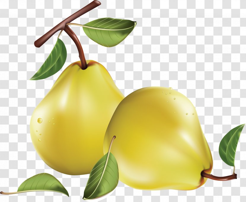 Pear Clip Art - Fruit - Image Transparent PNG