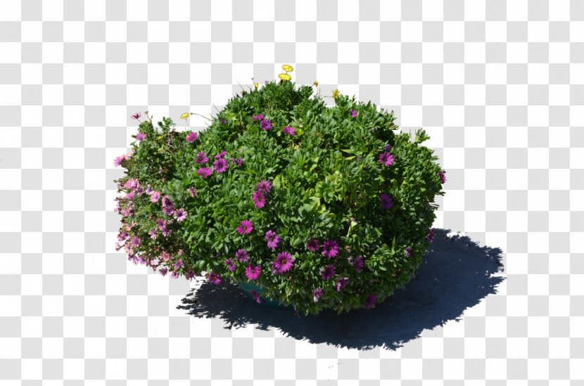 Flowerpot Plant Stock Photography - Deviantart - Flower Pot Transparent PNG