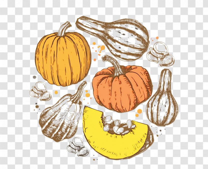 Pumpkin Transparent PNG