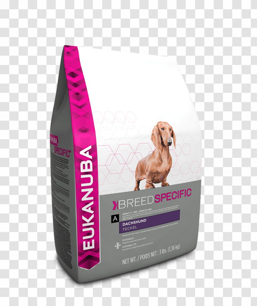 Yorkshire Terrier Chihuahua Dachshund Labrador Retriever Dog Food - Puppy Transparent PNG