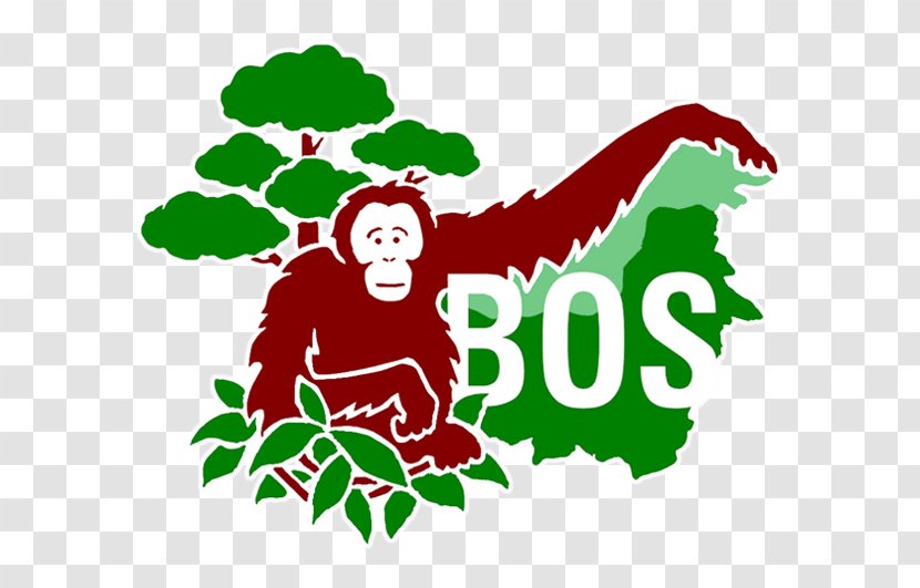 Central Kalimantan Bornean Orangutan Samboja Lestari Primate Borneo Survival - Conservation Movement Transparent PNG