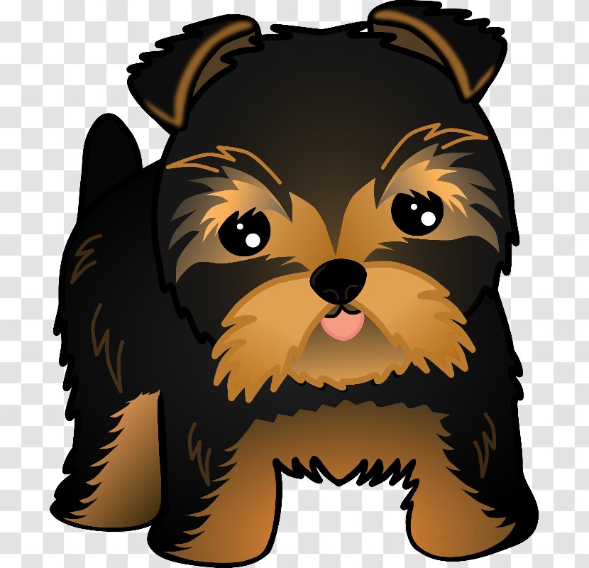 Yorkshire Terrier Puppy Dog Breed Shih Tzu Pomeranian - Small Transparent PNG