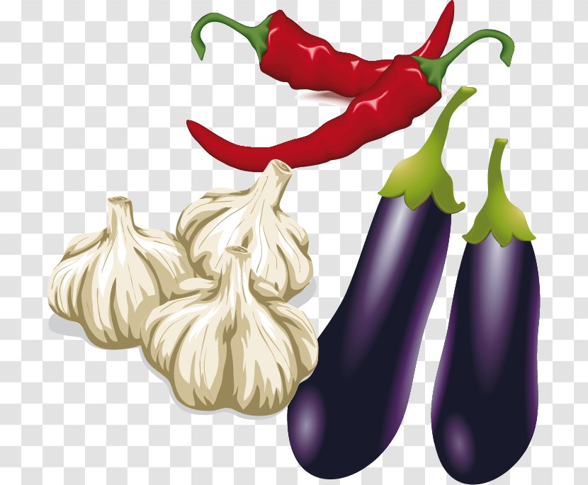 T-shirt Bento Eggplant Jam Galbi Garlic - Pepper Vector Material Transparent PNG
