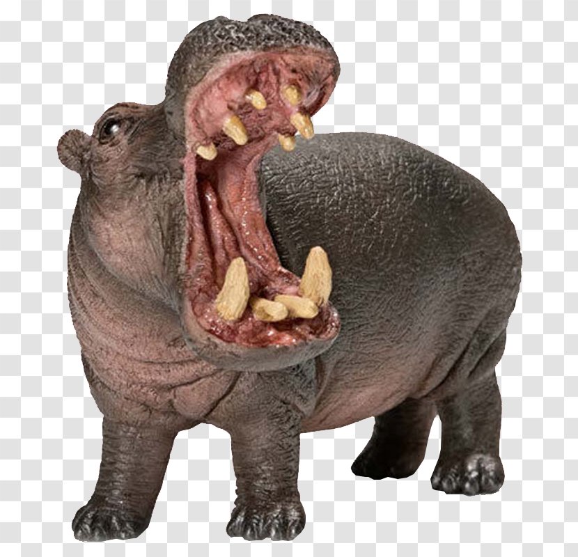 Hippopotamus The Hippo Schleich Wildlife Toy - Animal Figurine - Volks Transparent PNG