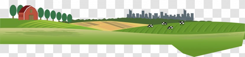 Lawn Grassland Ecosystem Angle Energy - Golf Ball - Basin Land Transparent PNG