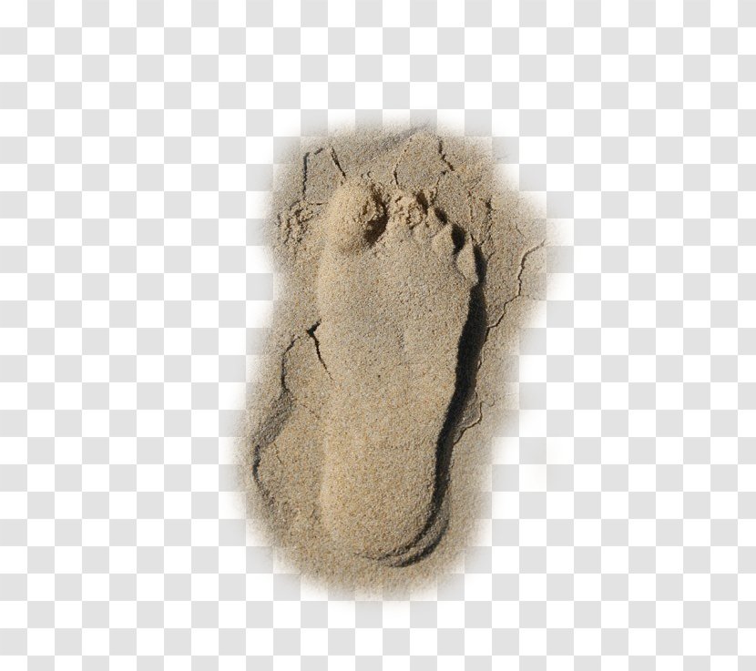 Beach Sand Footprint - Dry Footprints Transparent PNG