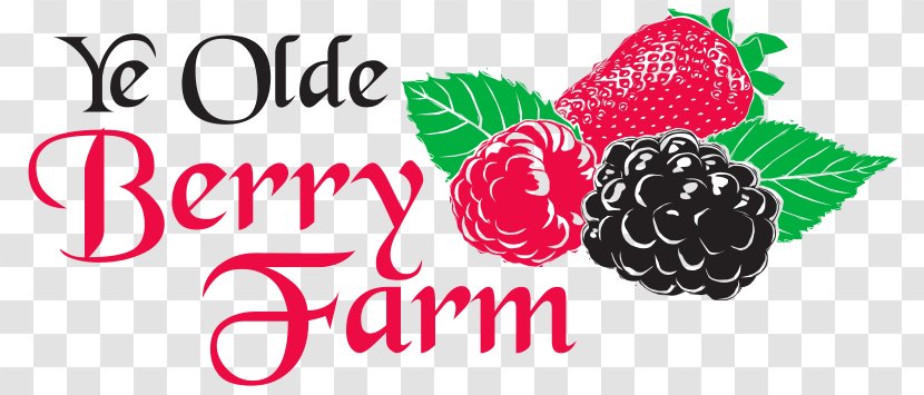 Strawberry Olde Berry Farm_采莓 Boysenberry Raspberry - Local Food - Fashion Personalized Fruit Shop Transparent PNG
