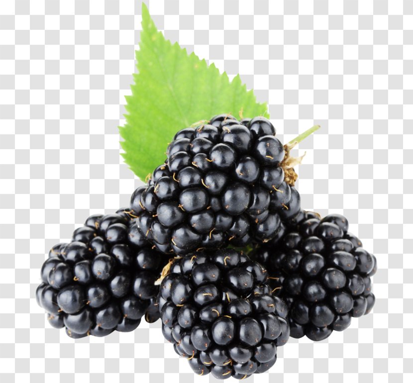 Blackberry Pie Fruit - Red Mulberry Transparent PNG