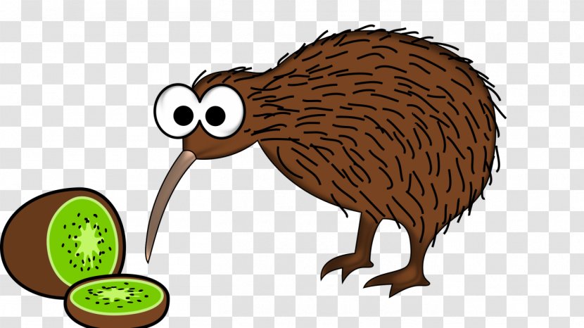Bird Clip Art Kiwifruit New Zealand Cartoon - Ratite Transparent PNG
