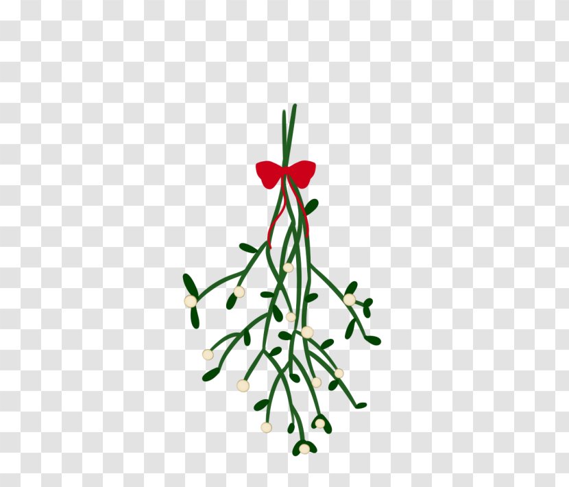 Christmas Lights Mistletoe Tree - Kiss Transparent PNG