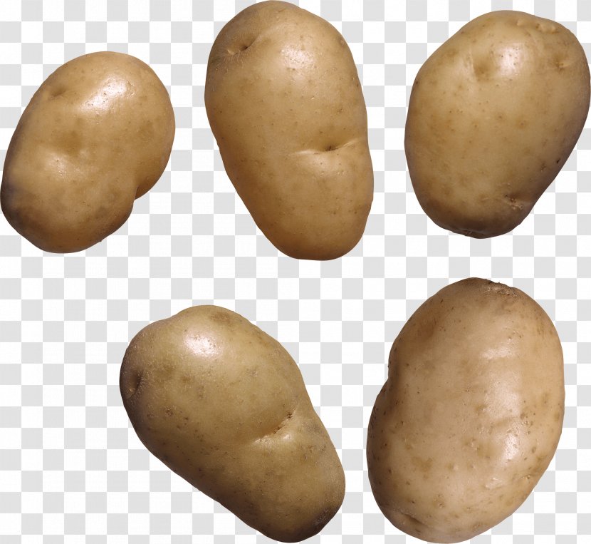 Mashed Potato Leftovers Baked - And Tomato Genus - Images Transparent PNG