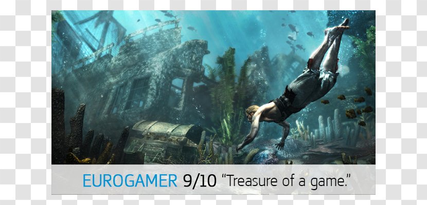 Assassin's Creed IV: Black Flag Creed: Origins Brotherhood Video Game Uplay - Ecosystem - Pirates Transparent PNG