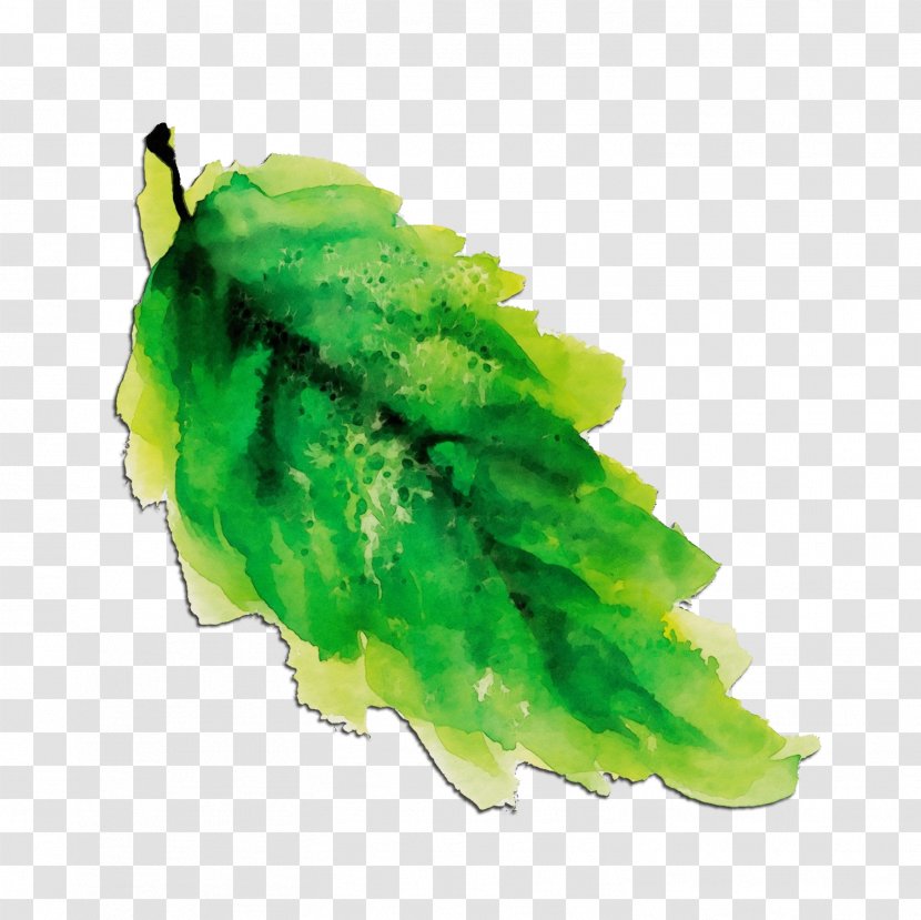 Green Leaf Watercolor - Paint - Plant Transparent PNG