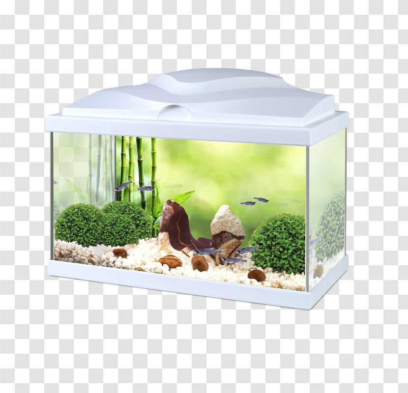 Light-emitting Diode Siamese Fighting Fish Aquariums - Light Transparent PNG