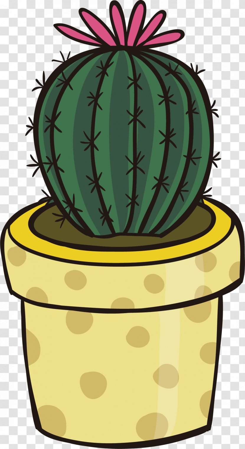 Cactaceae Clip Art - Fruit - Cactus Vector Transparent PNG