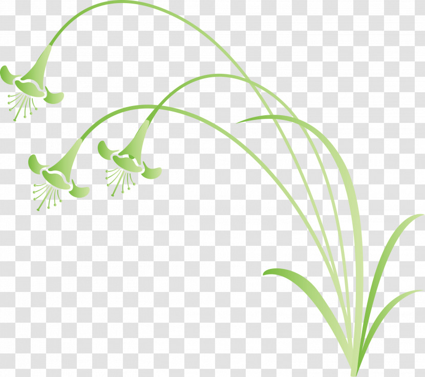 Flower Frame Decoration Frame Transparent PNG