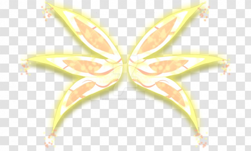 Graphics Moth M. Butterfly - Symmetry - Enchantix Transparent PNG