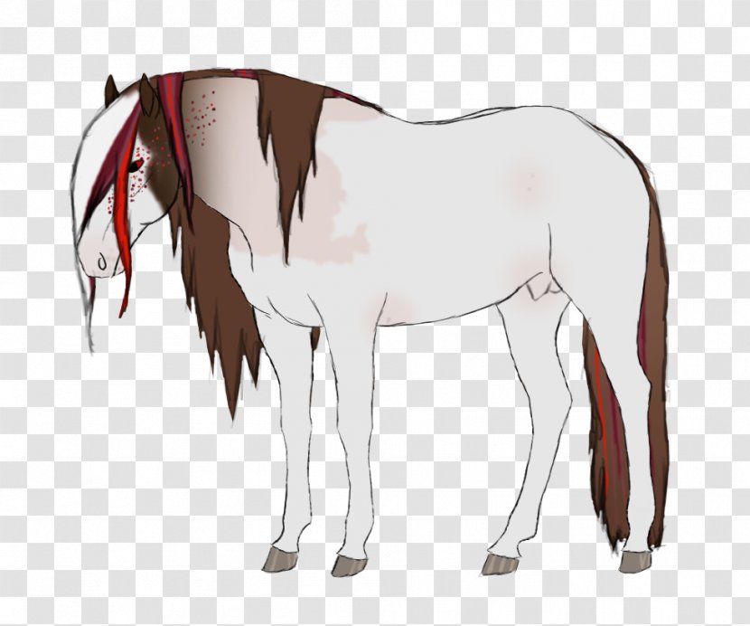 Mule Foal Stallion Mare Rein - Horse - Mustang Transparent PNG