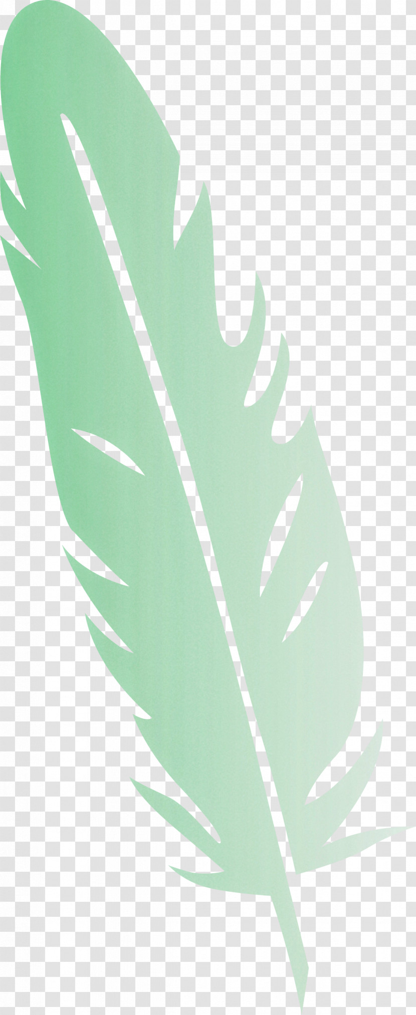 Feather Transparent PNG