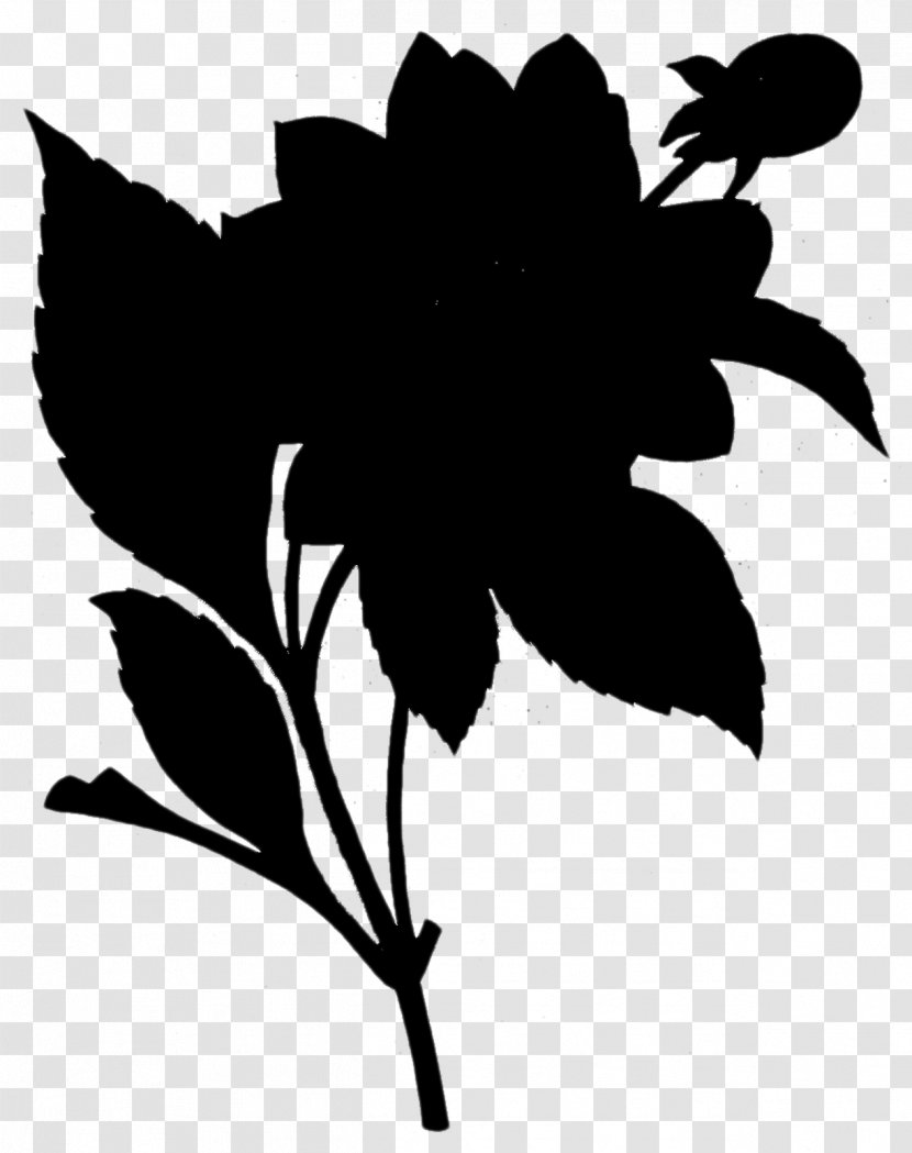Flowering Plant Drawing Shoeblackplant Design - Stencil - Silhouette Transparent PNG