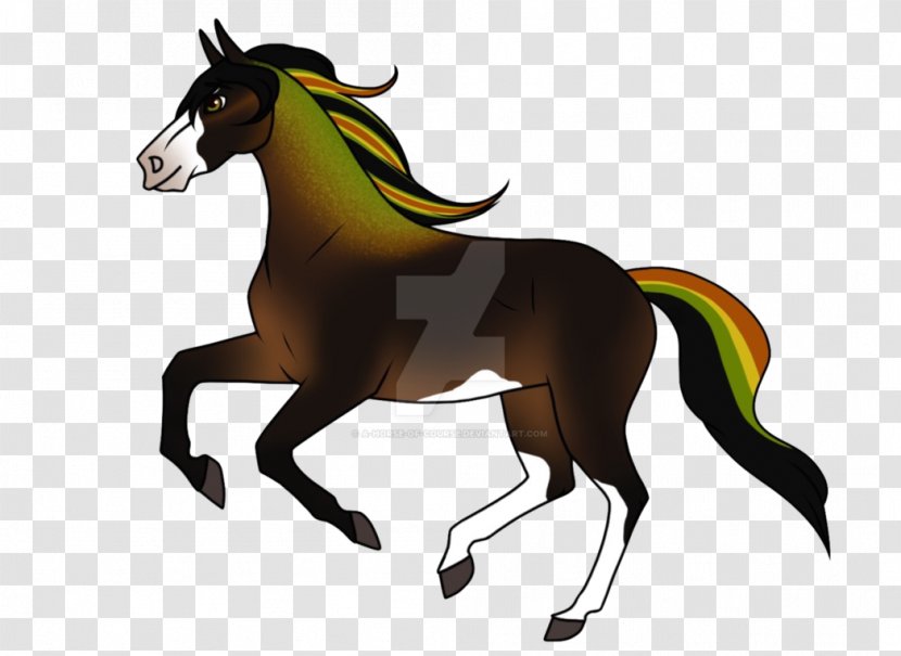 Mustang Foal Stallion Colt Mare Transparent PNG