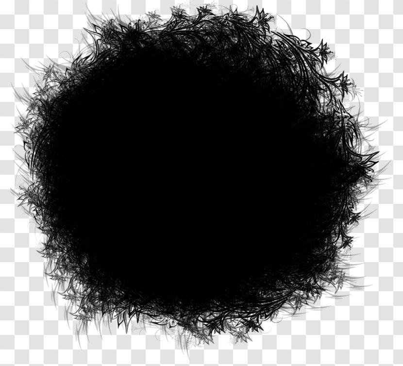 Black Hair Fur M Transparent PNG