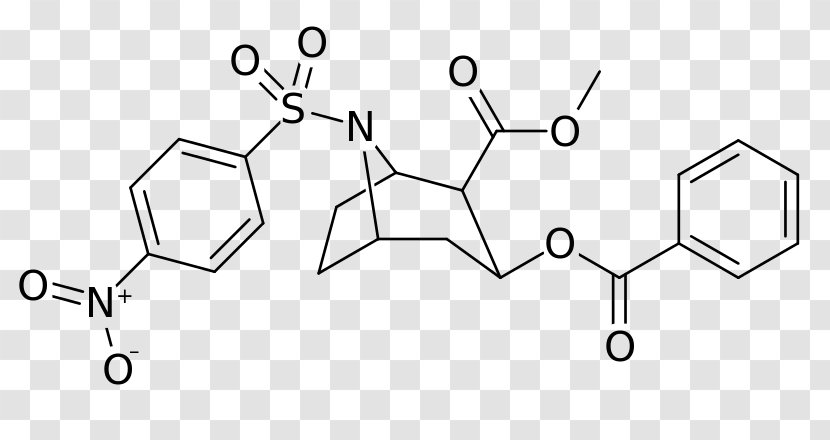 Troparil Structural Analog Phenyltropane Chemical Compound RTI-31 - Line Art Transparent PNG