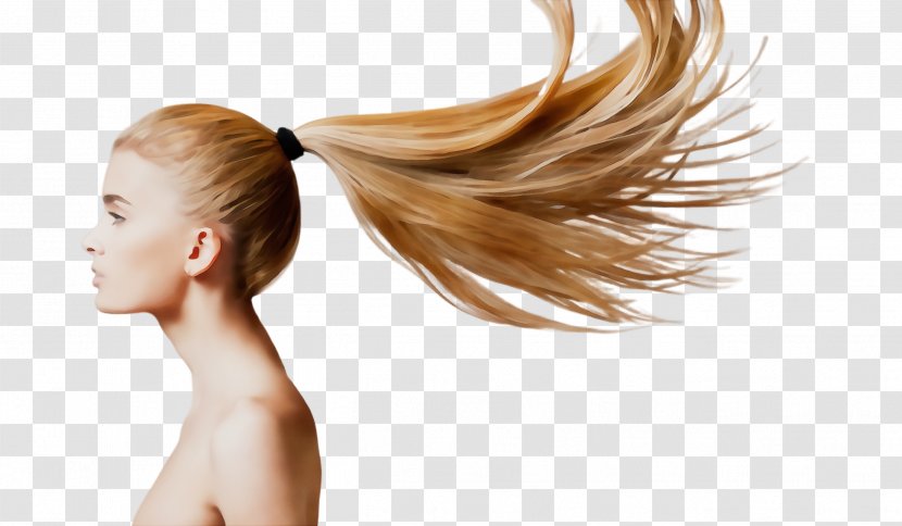 Hair Skin Hairstyle Coloring Beauty - Blond - Step Cutting Long Transparent PNG