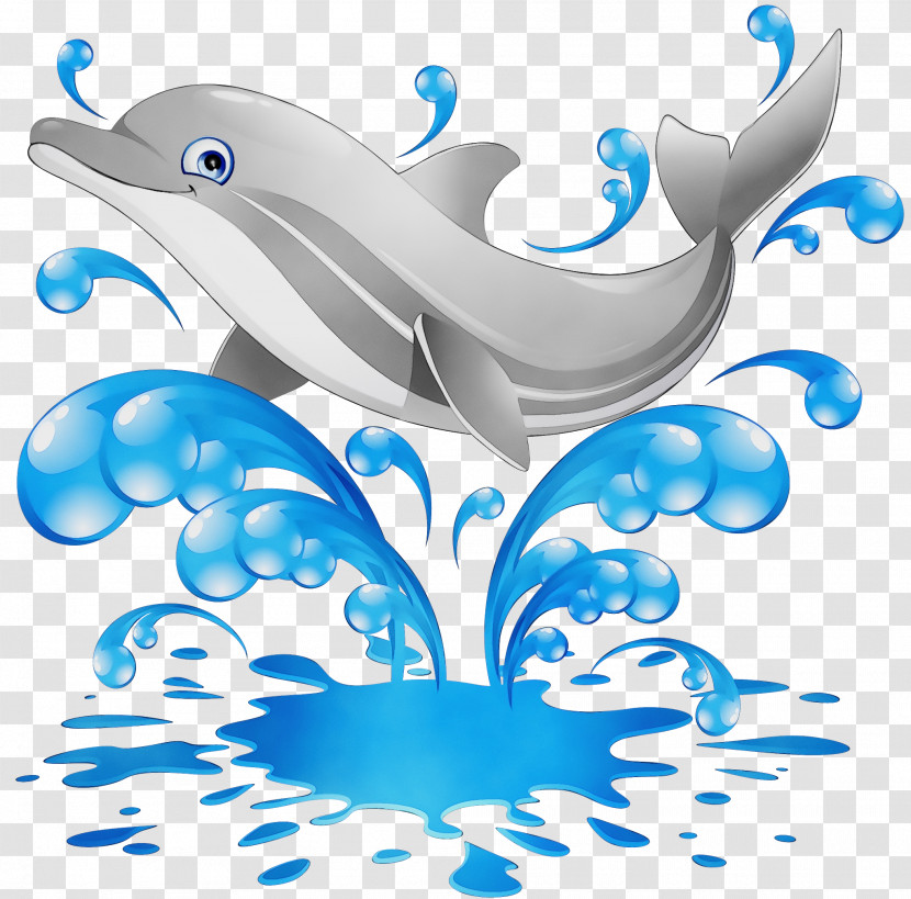 Dolphin Common Dolphins Cetacea Transparent PNG