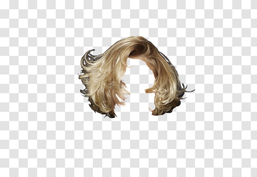 Hobby Wig Hunting Celebrity Hair - Matt Damon Transparent PNG