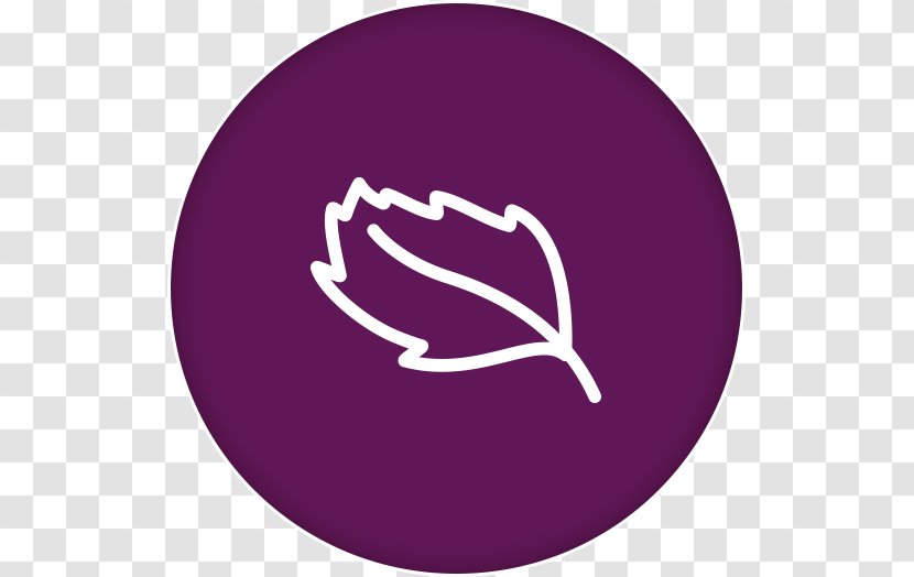 News Alza.cz Philips Steam Generator Information - Purple - Logo Transparent PNG