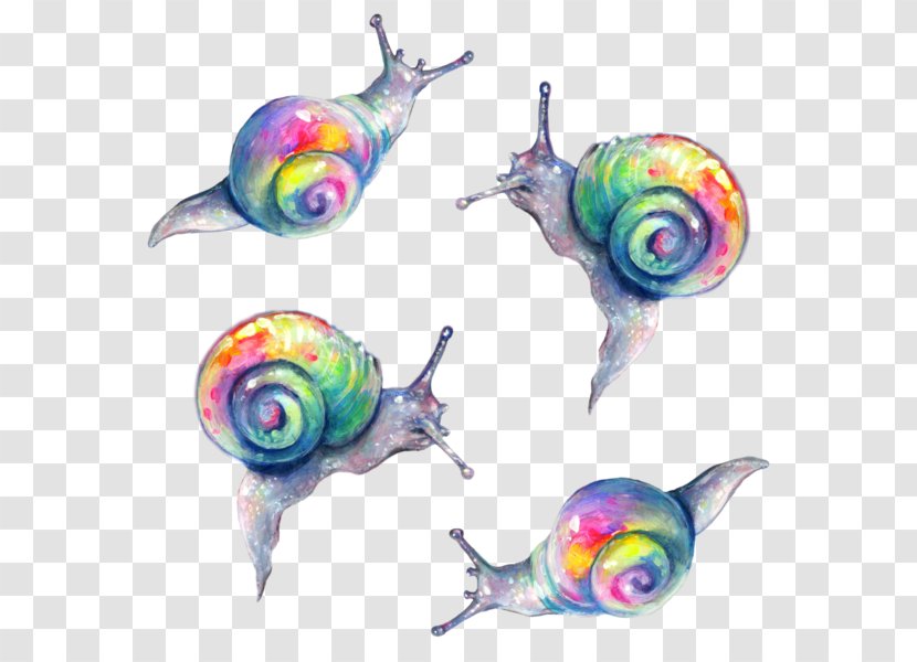 Snail Rainbow Painting Slug Color - Marine Biology Transparent PNG
