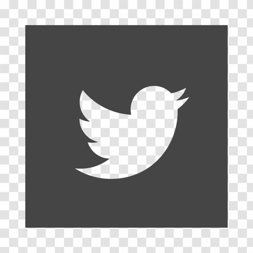 Social Media Desktop Wallpaper Symbol Logo - Linkedin - Twitter Bird Transparent PNG
