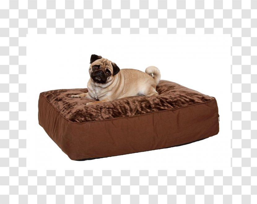 Dog Cushion Bed Throw Pillows Pet Shop Transparent PNG