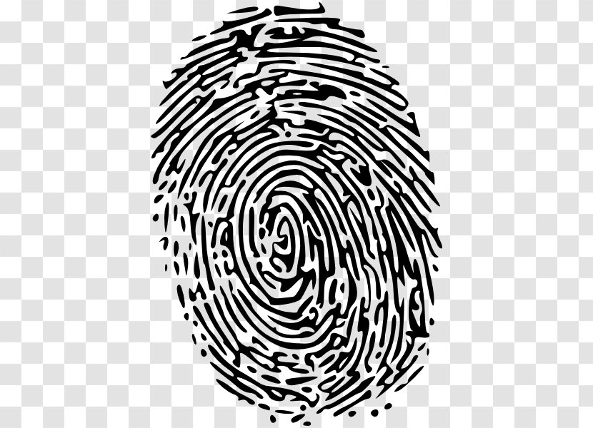 Fingerprint Clip Art - Spiral - Head Transparent PNG