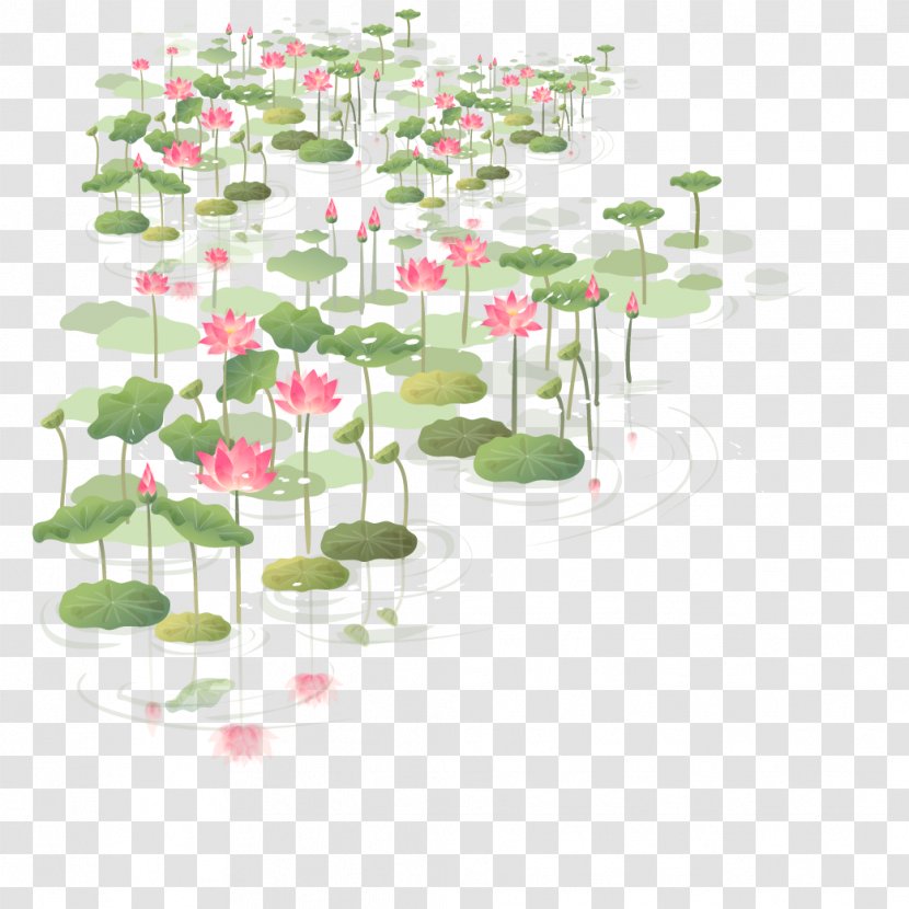 Flower Euclidean Vector Clip Art - Drawing - China Wind Hawthorn Transparent PNG