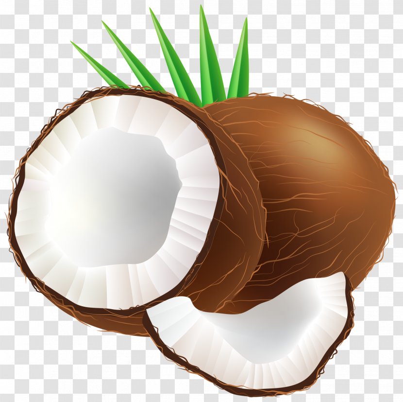 Coconut Water Clip Art - Coconuts Transparent PNG