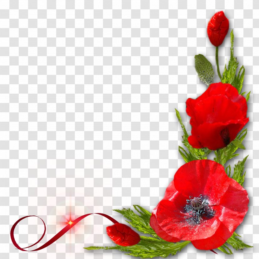 Poppy Red Flower - Petal - Floral Decoration Pattern Transparent PNG