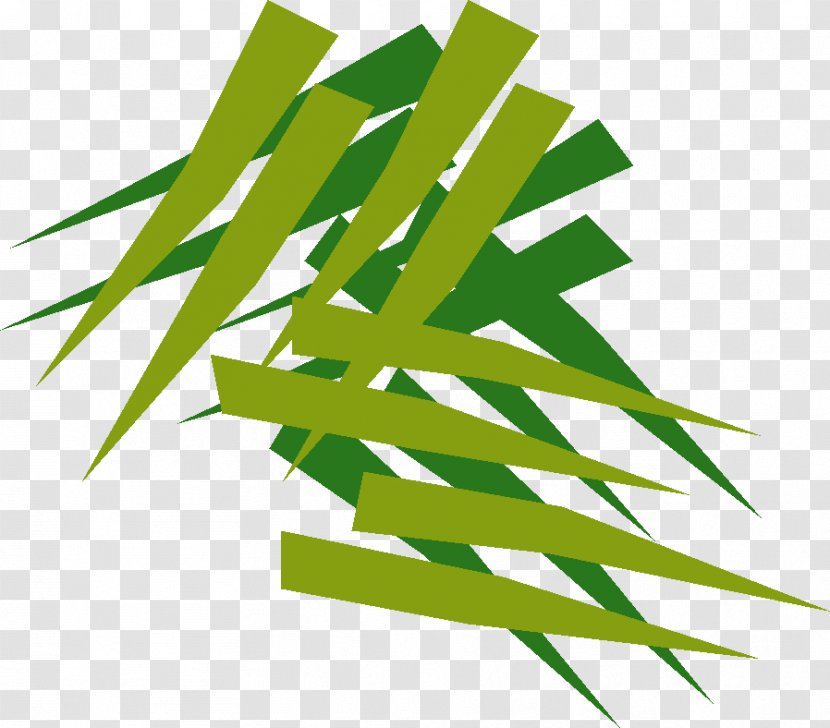 Cannabis Leaf Background - Green - Plant Transparent PNG