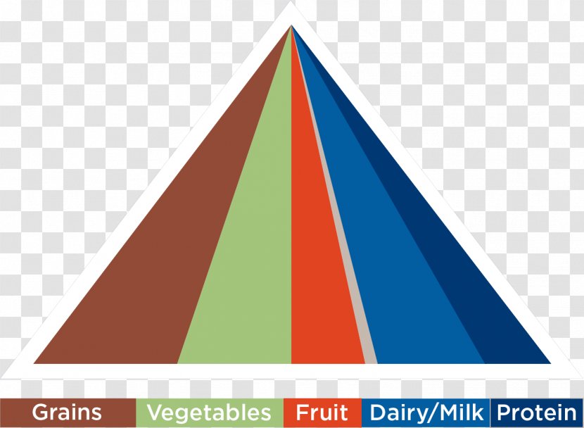 Food Group Meal Health Eating - Refrigerator - Fruit Anatomy Transparent PNG