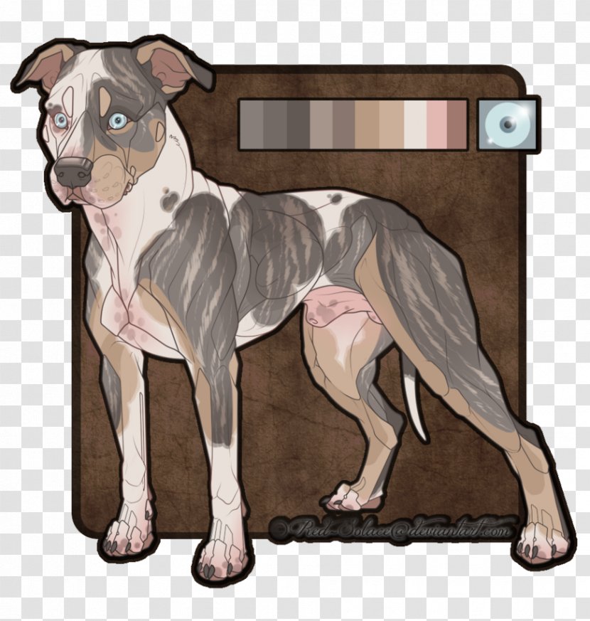 American Pit Bull Terrier Staffordshire Boston Dog Breed Transparent PNG