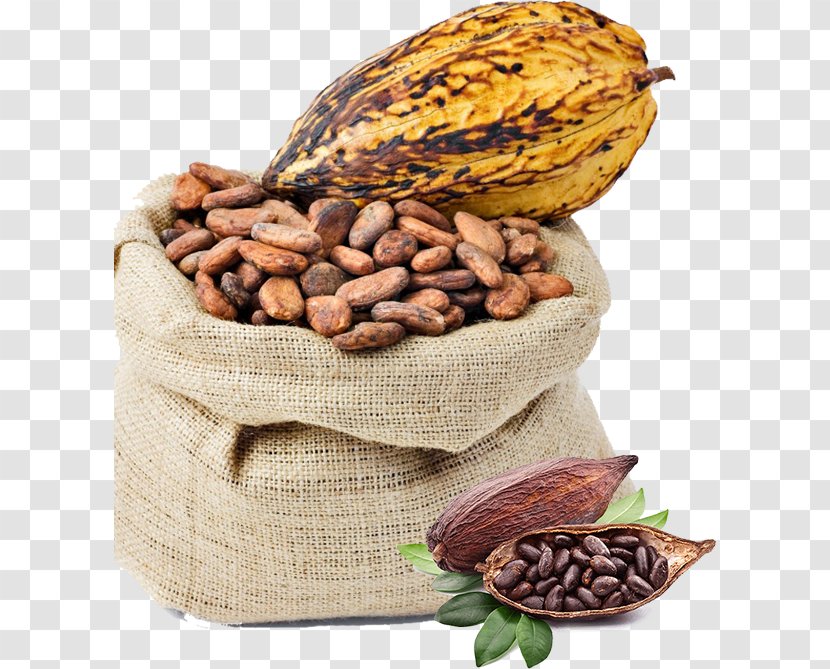 Criollo Cocoa Bean Solids Chocolate Liquor - Tree Nuts Transparent PNG