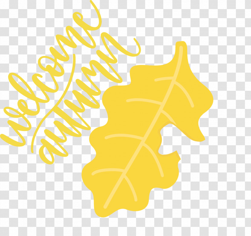 Leaf Tree Yellow Meter Line Transparent PNG